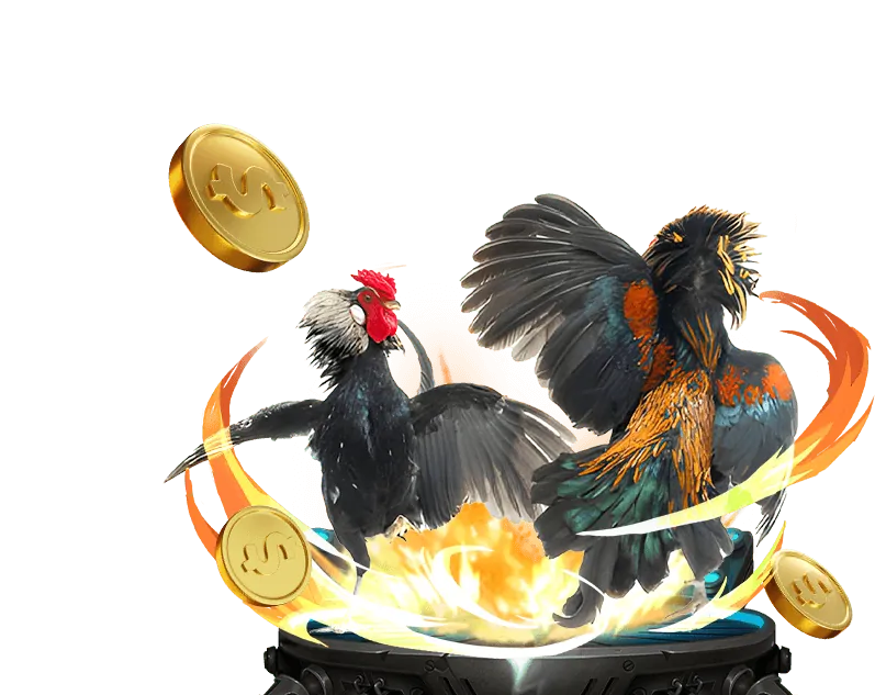 Đá gà trực tiếp 0033win